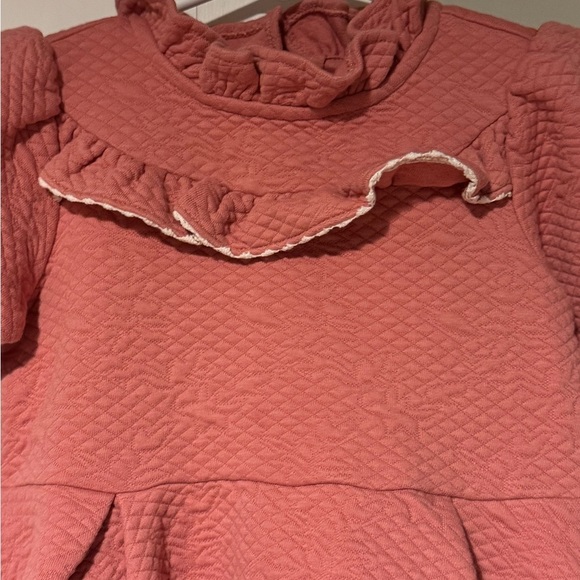 Janie and Jack Pink Quilted Jacquard Ruffle Dress Size 3 - Picture 4 of 7